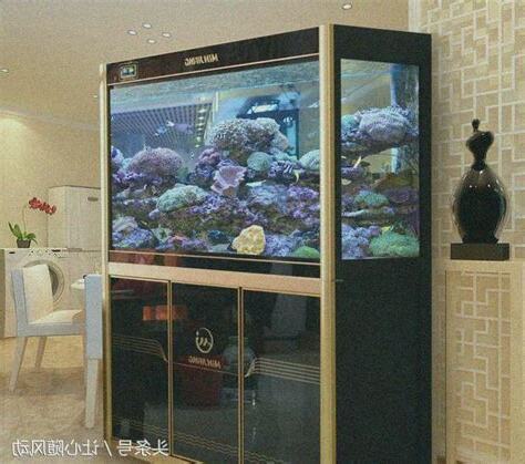 魚缸高度 風水